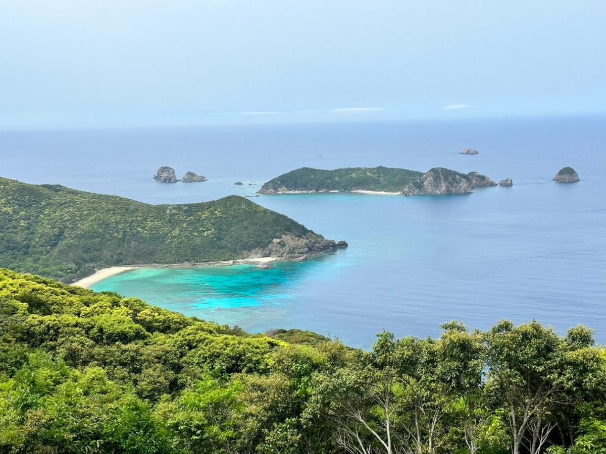 Turquoise bay and forested headlands seen from a hilltop