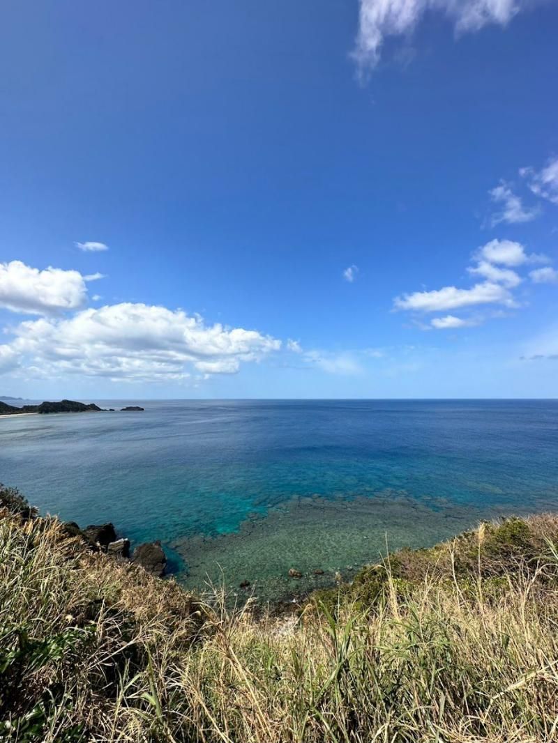 Clifftop view over a shallow coral reef and open ocean